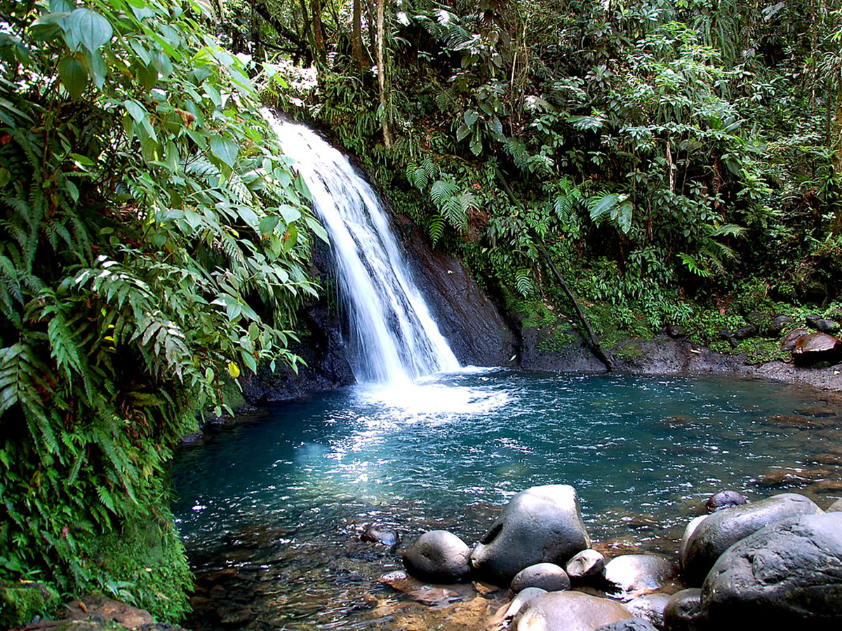 Crayfish Warerfall, Petit-Bourg
