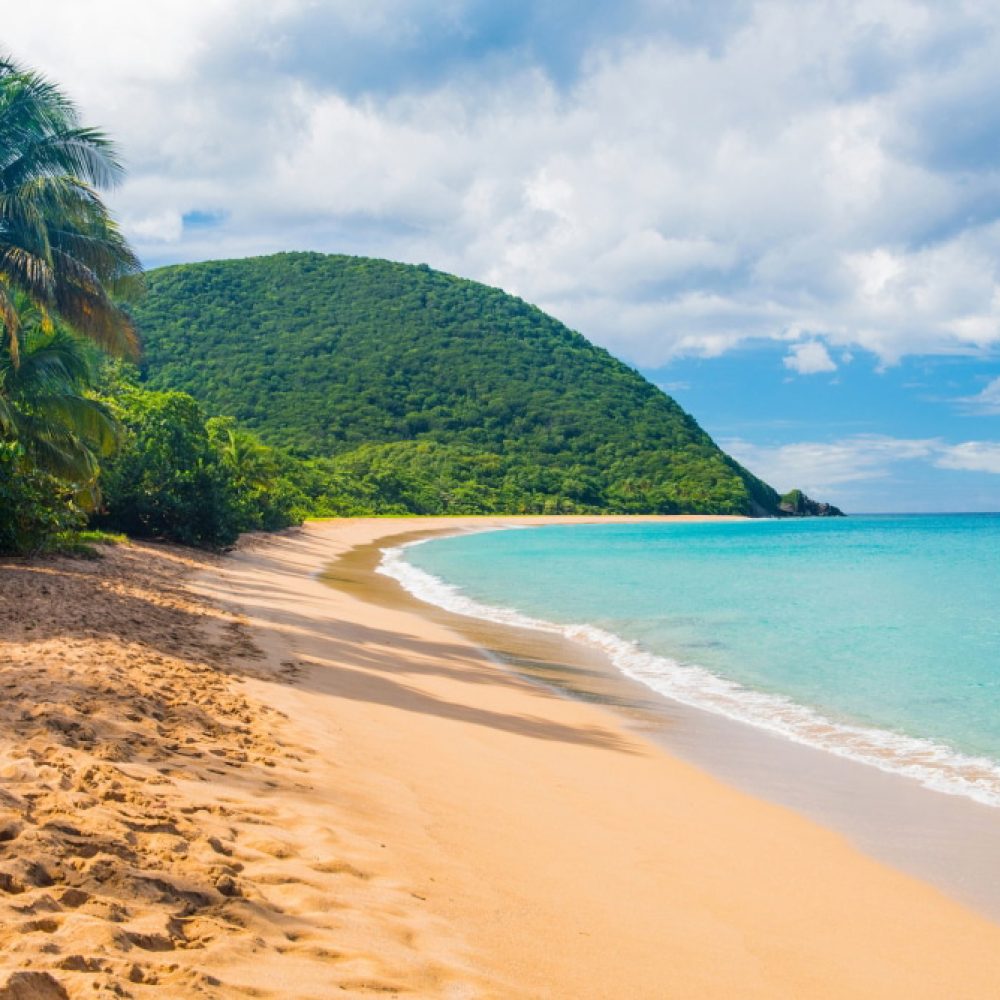 deshaies-shore-excursion